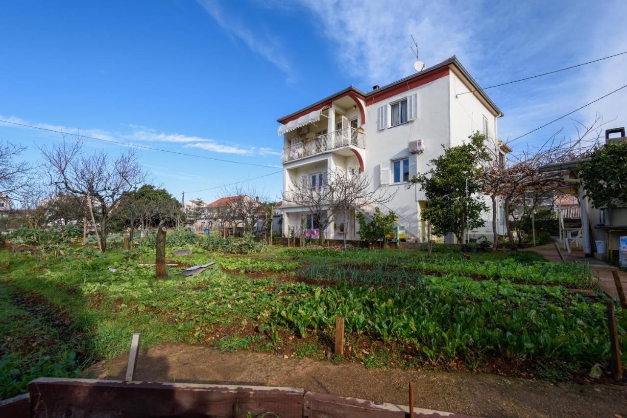Appartement The Consists Of Two Bedrooms, A Bathroom, A Kitchen And A Living *